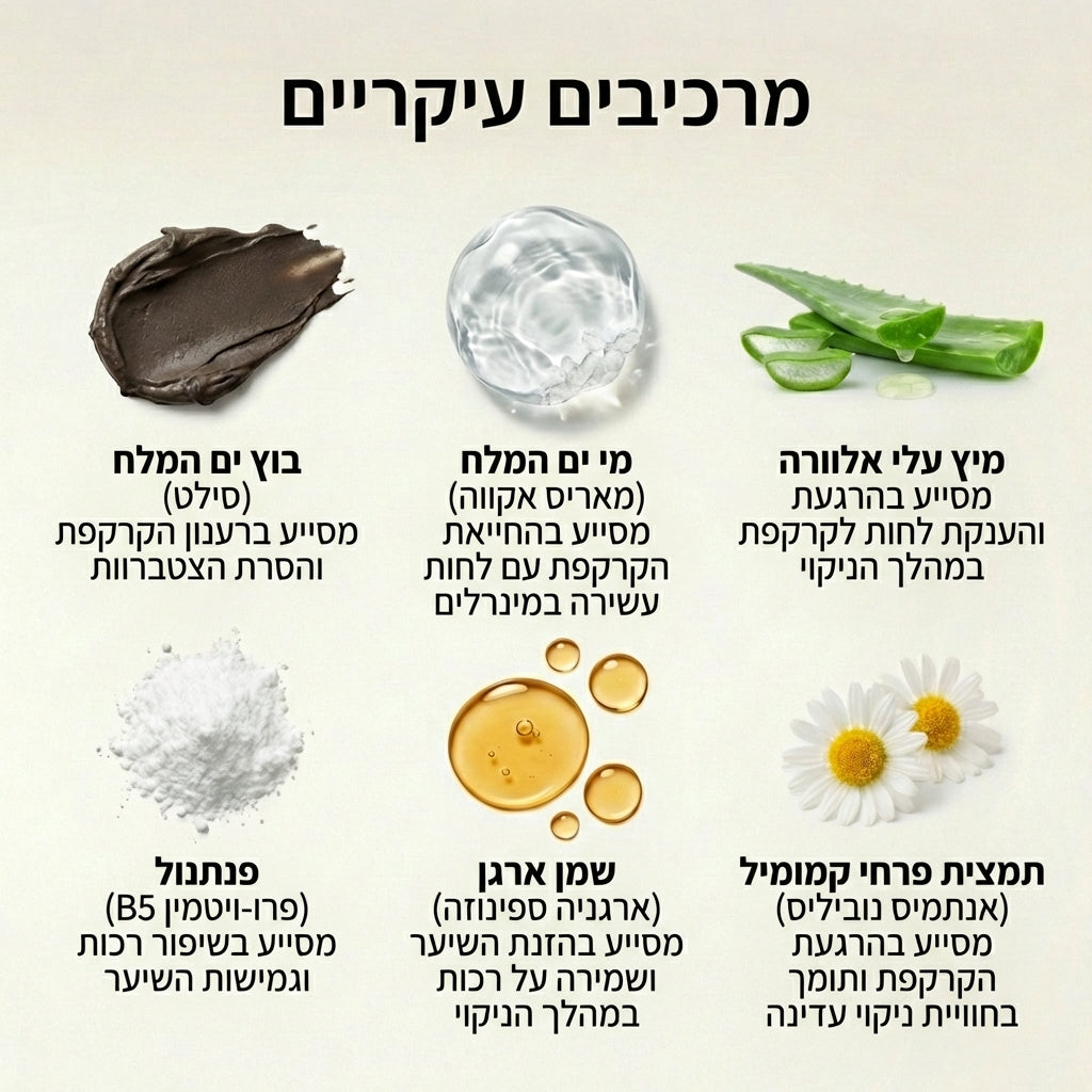 שמפו הזנה לשיער