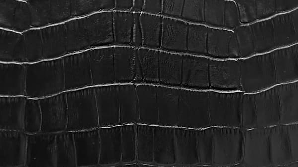 Croc_1440x810_85f97019 384b 43cc 832f 3884d68e5191