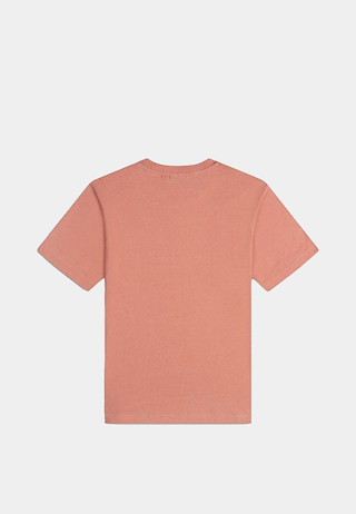 Daily Paper Dp Blocked Ss T-Shirt Washed Canyon Clay