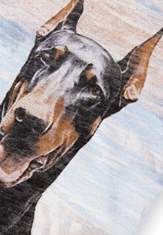 Represent Western Dobermans T-Shirt Flat White