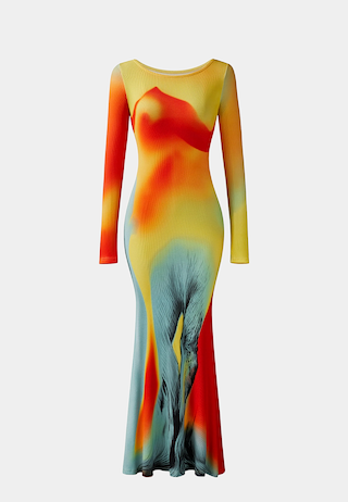 JW Pei Lily Illusion Print Mesh Dress Multicolor