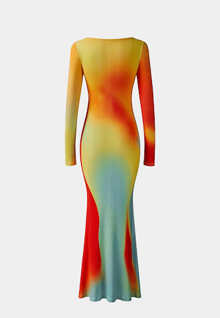 JW Pei Lily Illusion Print Mesh Dress Multicolor