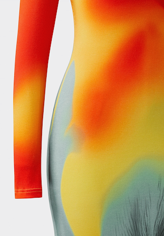 JW Pei Lily Illusion Print Mesh Dress Multicolor