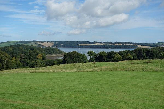 5 Beautiful Walking Trails to Find this Summer - Lighthouse