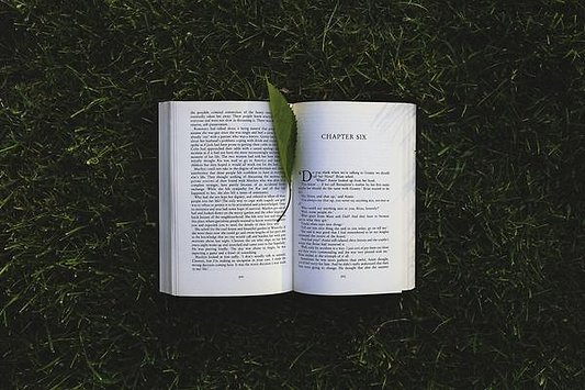 5 Classic Books to Rekindle your Wanderlust & Love for the Outdoors - Lighthouse