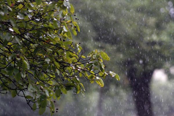 What You Need to Know Before Choosing a Raincoat - Lighthouse