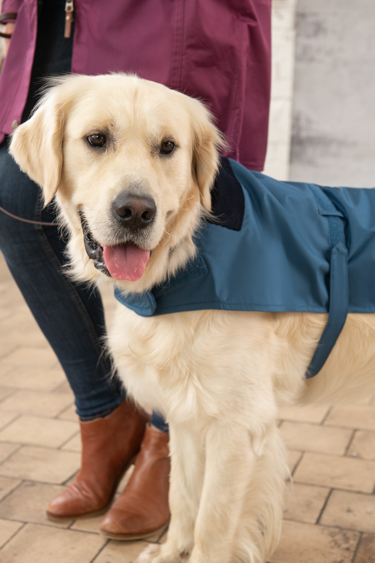 Heritage Dog Coat - Deep Sea-Lighthouse