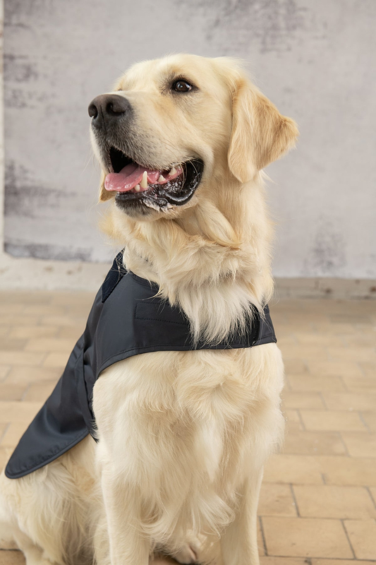 Heritage Dog Coat - Nightshade-Lighthouse