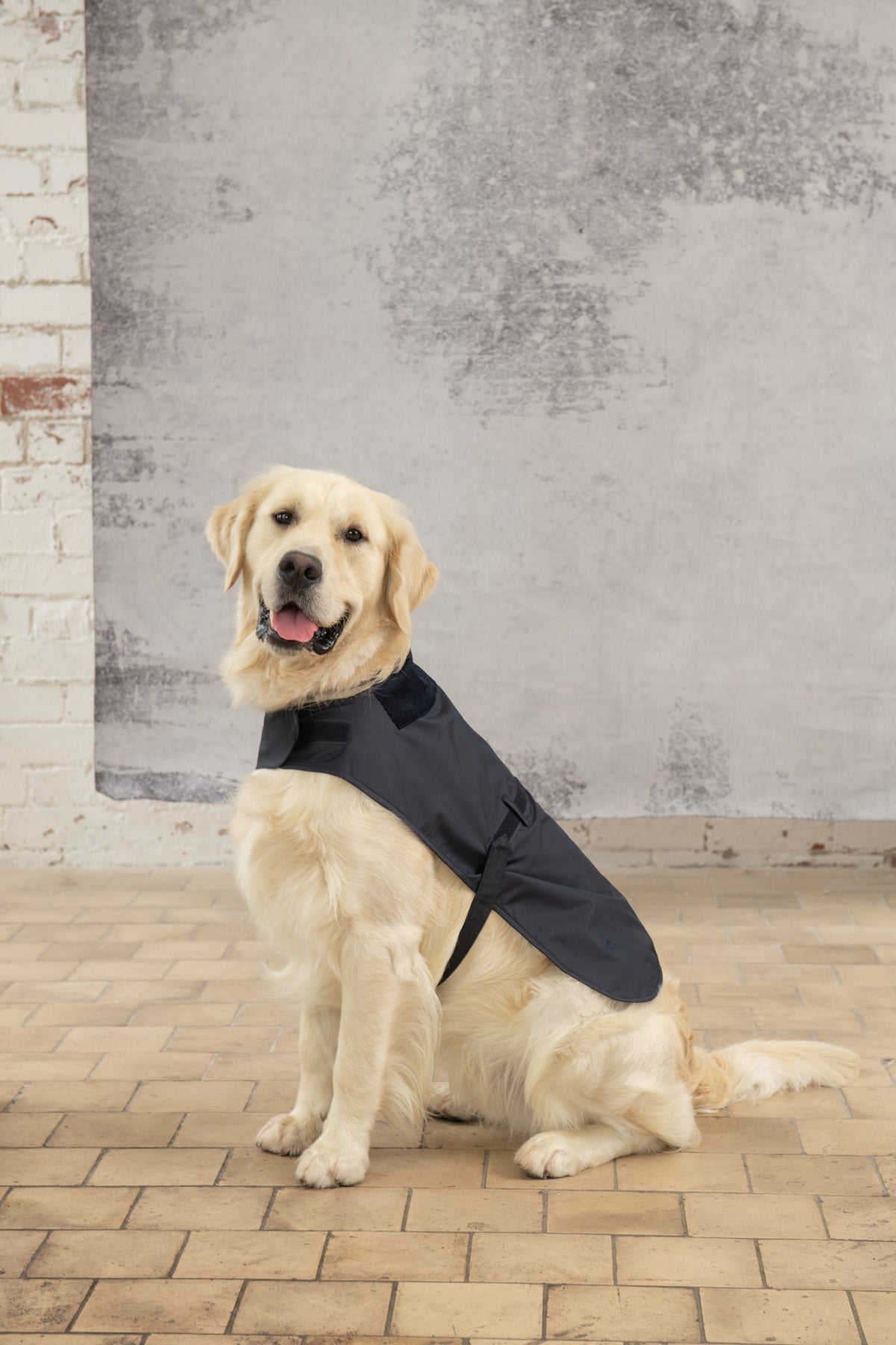 Heritage Dog Coat - Nightshade-Lighthouse