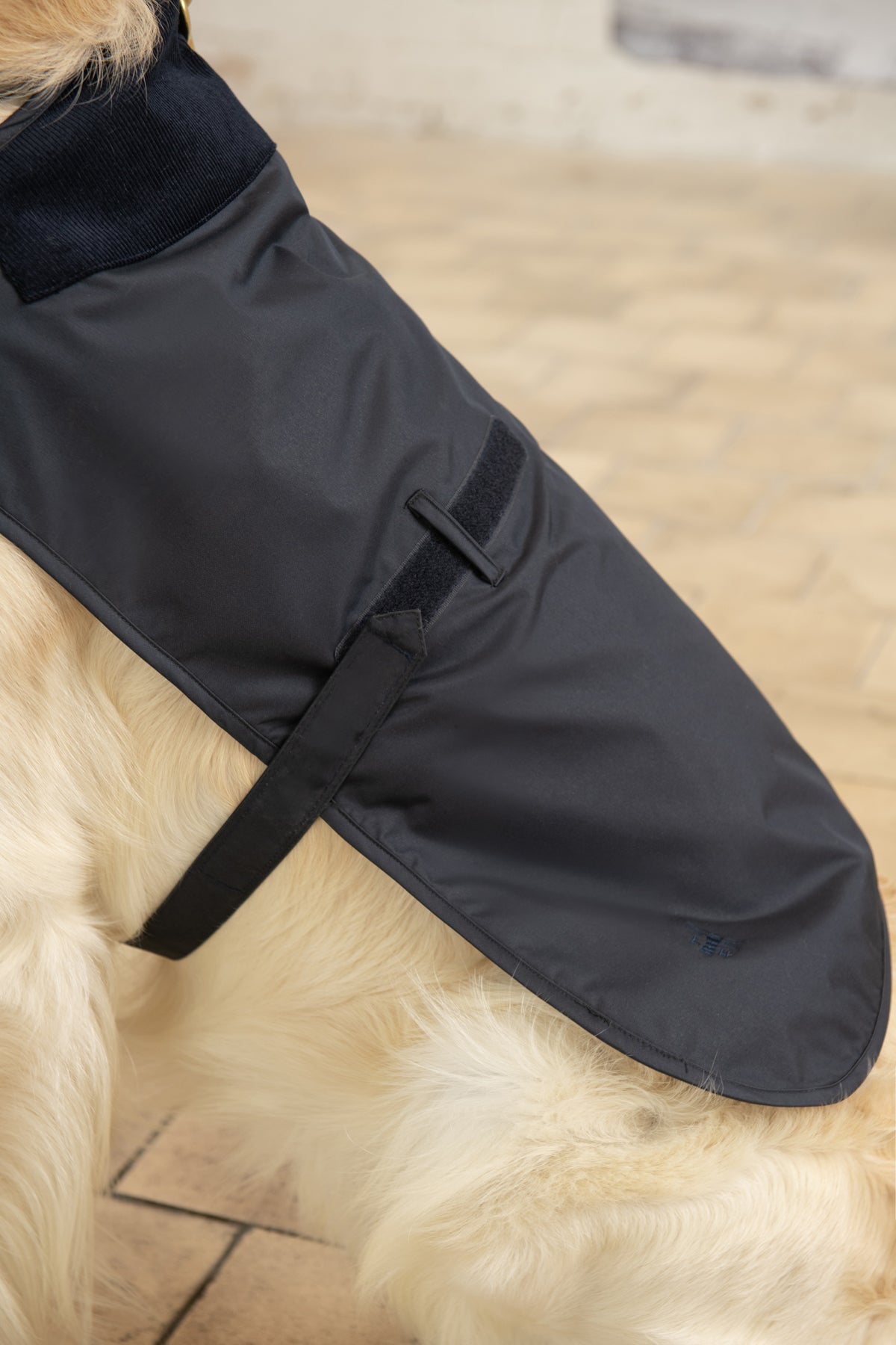 Heritage Dog Coat - Nightshade-Lighthouse