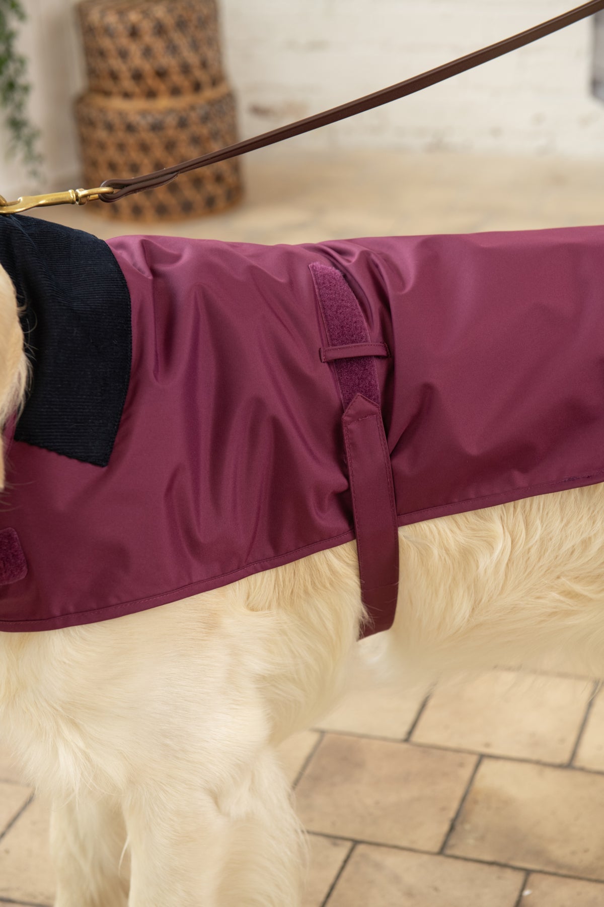 Heritage Dog Coat - Plum-Lighthouse