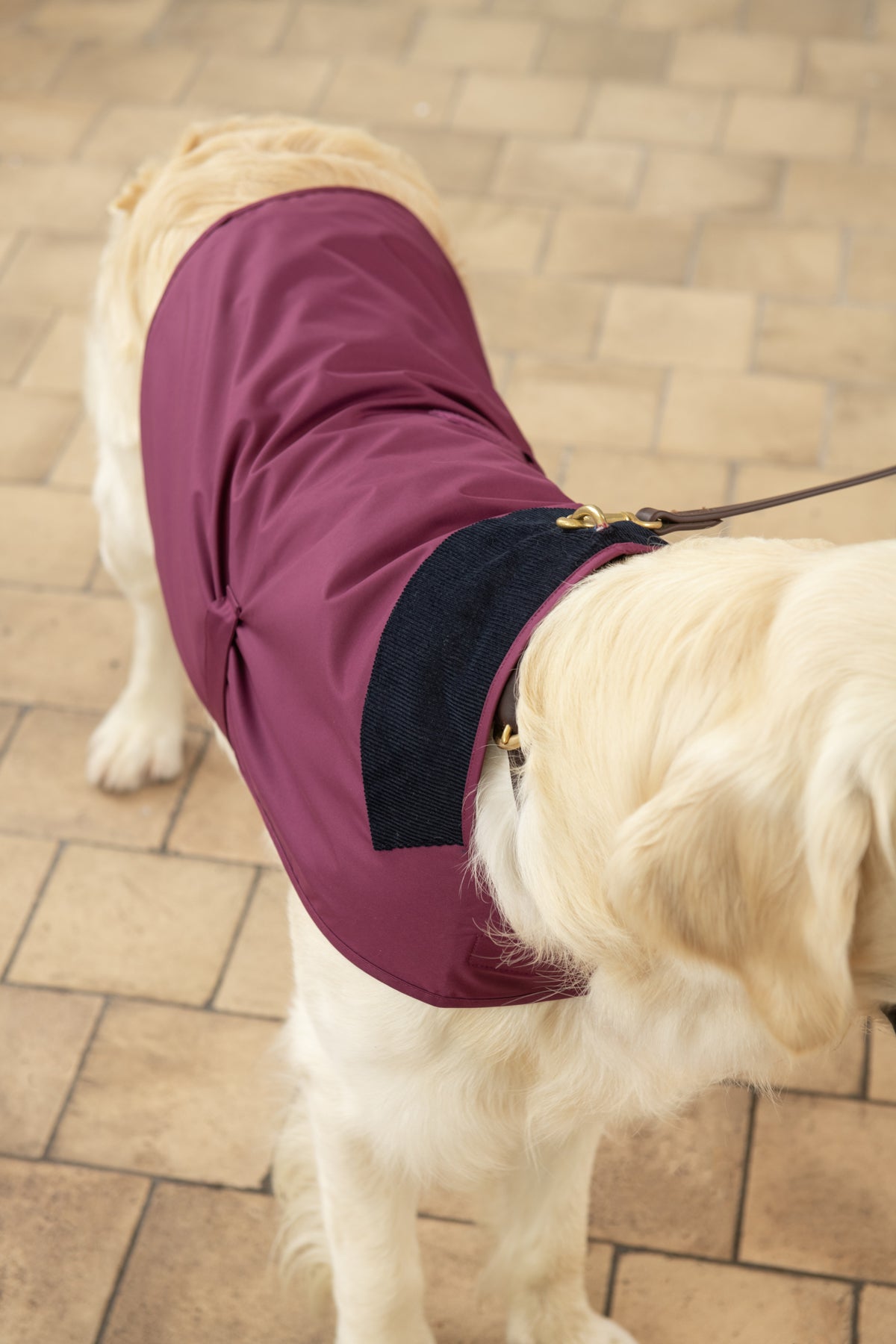Heritage Dog Coat - Plum-Lighthouse