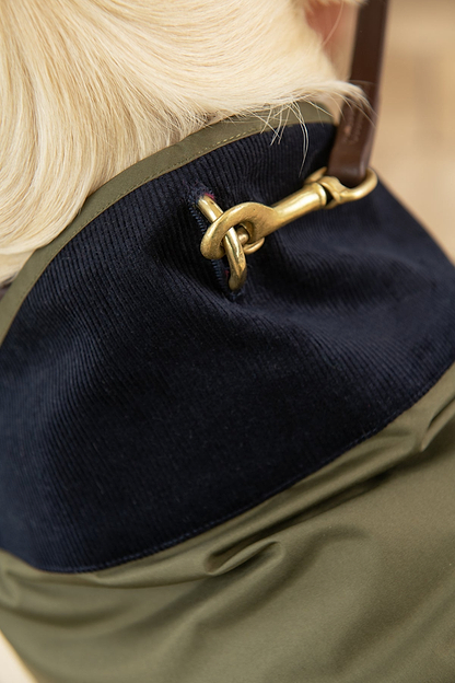 Heritage Dog Coat - Fern-Lighthouse