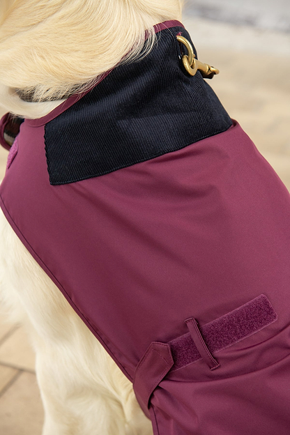 Heritage Dog Coat - Plum-Lighthouse
