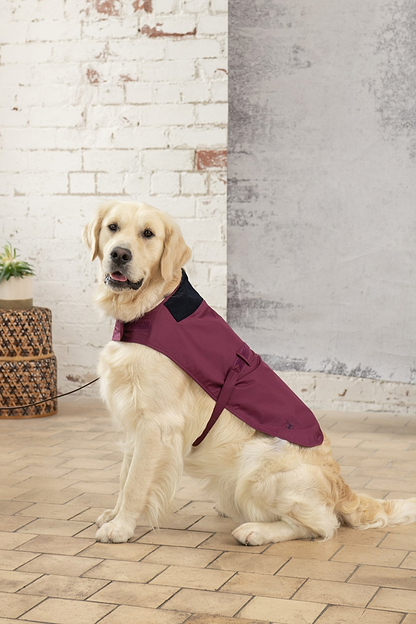 Heritage Dog Coat - Plum-Lighthouse