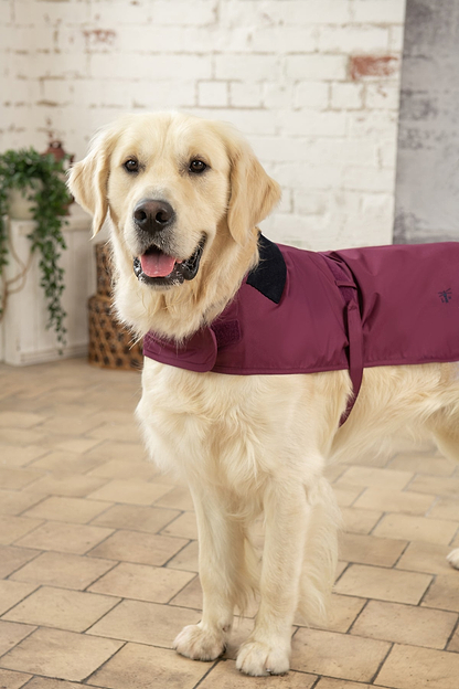 Heritage Dog Coat - Plum-Lighthouse