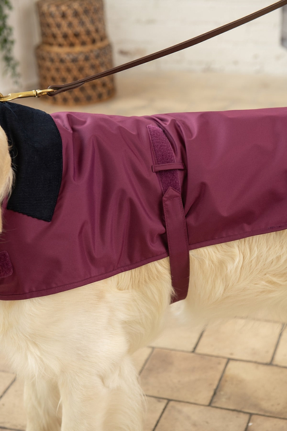 Heritage Dog Coat - Plum-Lighthouse