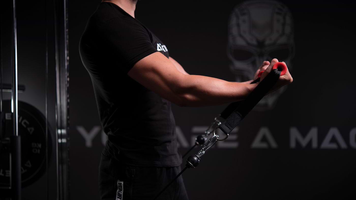 Hypertrophie und Muskelaufbau