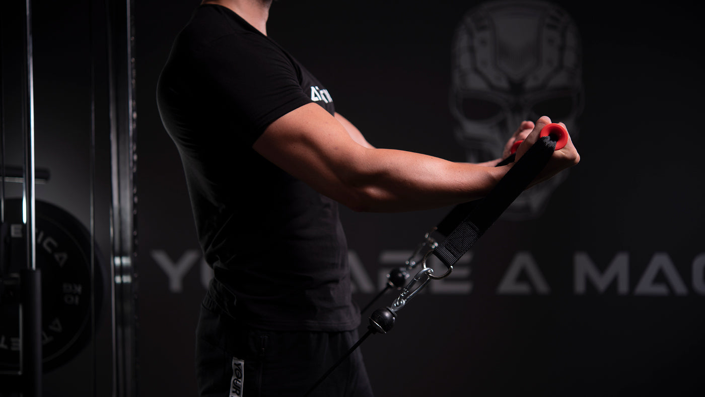 Hypertrophie und Muskelaufbau