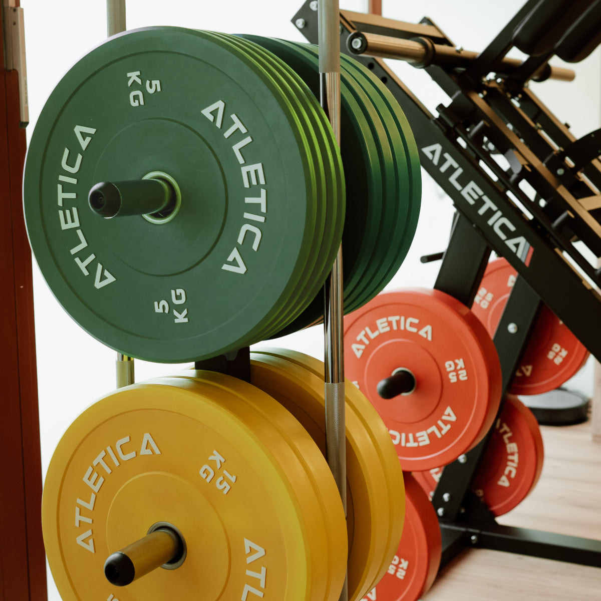 Fullbody Multitrainer mit Color Bumper Plates im Gym 