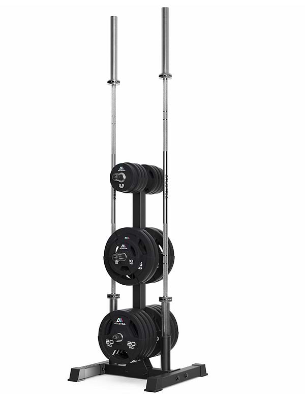 Rack for weights Rhino Storage: rack for weight plates and barbells