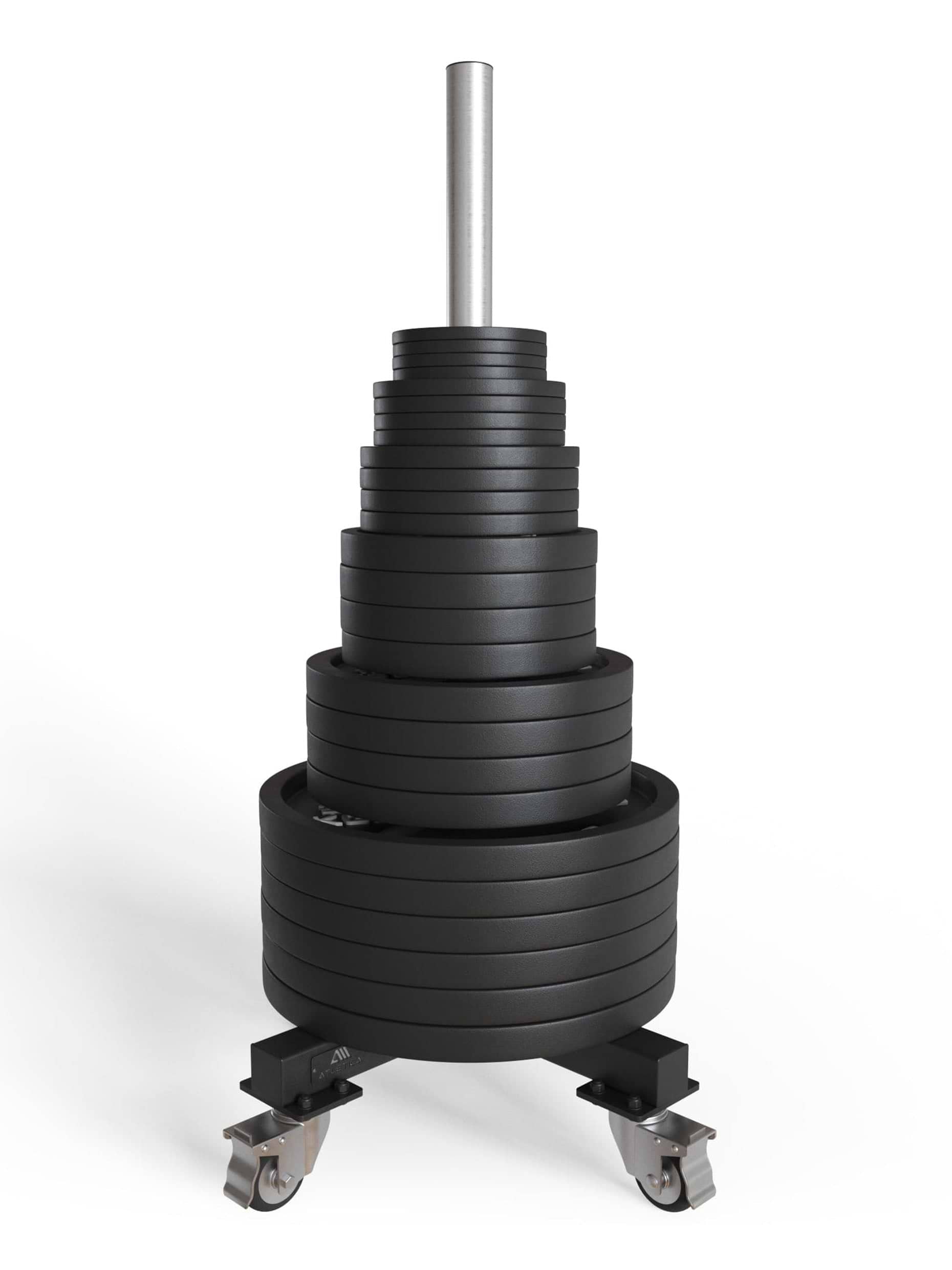 Hantelscheiben Ablage Speer: verchromte Aufnahme 