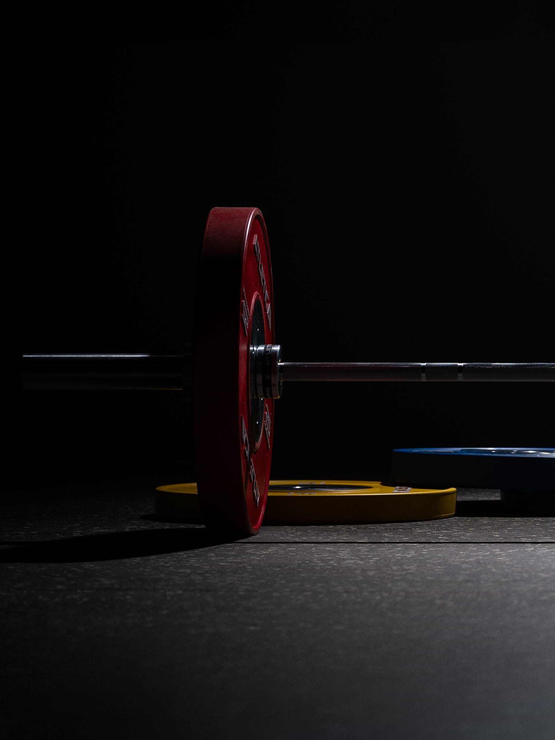 Hantelscheiben Bumper Plates Gewichte: 