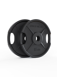2H Iron Plates - Two black cast iron weight plates, je 15 kg, for strength training