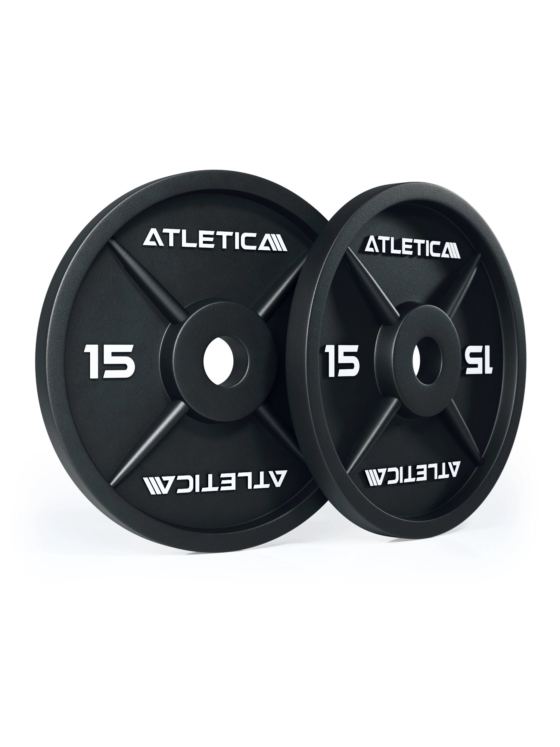 Hantelscheiben Iron Plates 15kg Paar