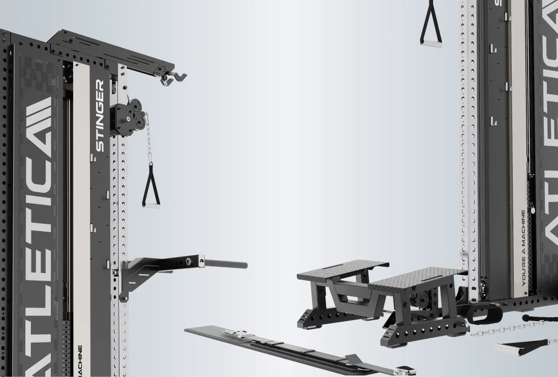 Functional Trainer Stinger mit Belt Squat- und Dip-Station