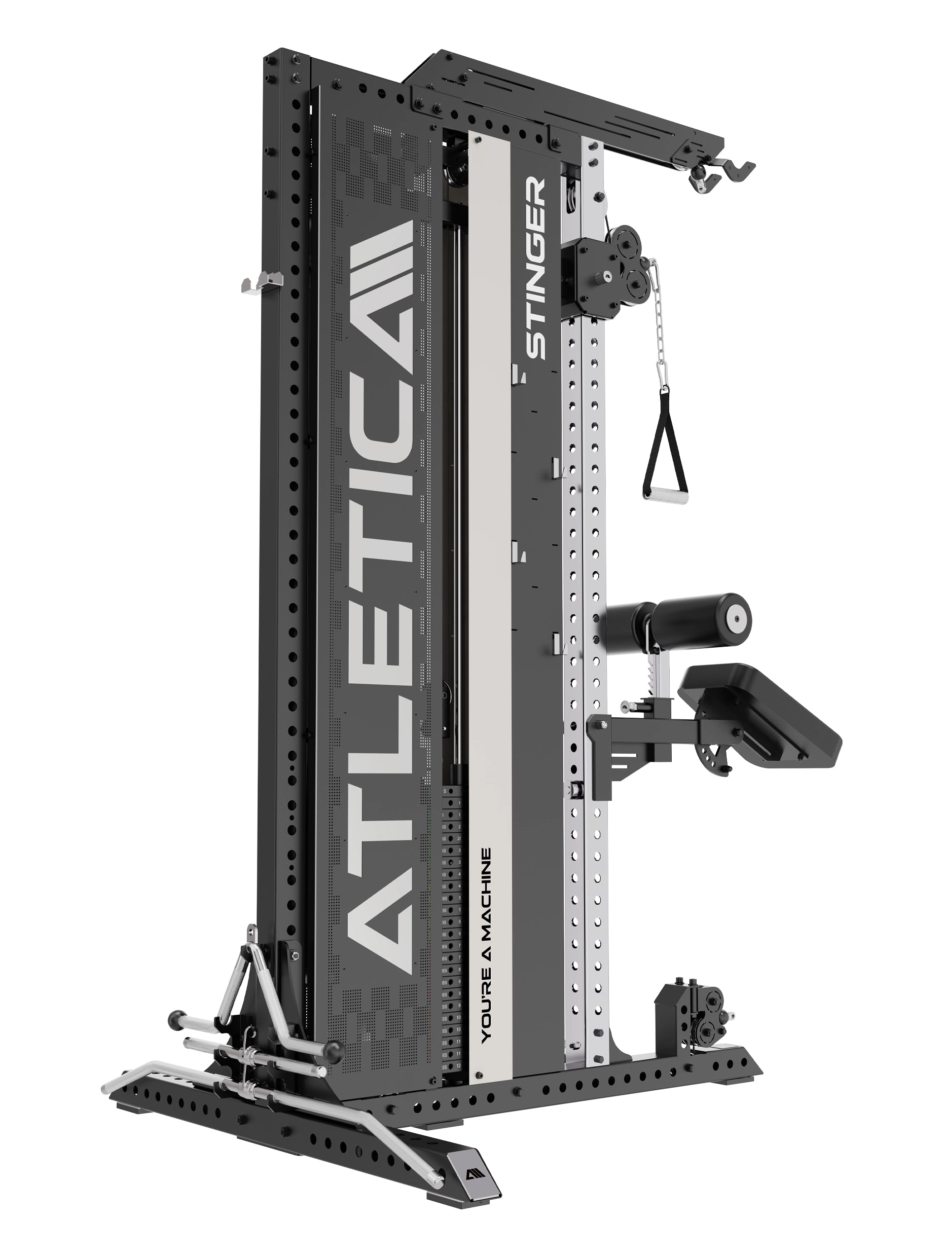 Stinger Functional Trainer mit Ruderstation