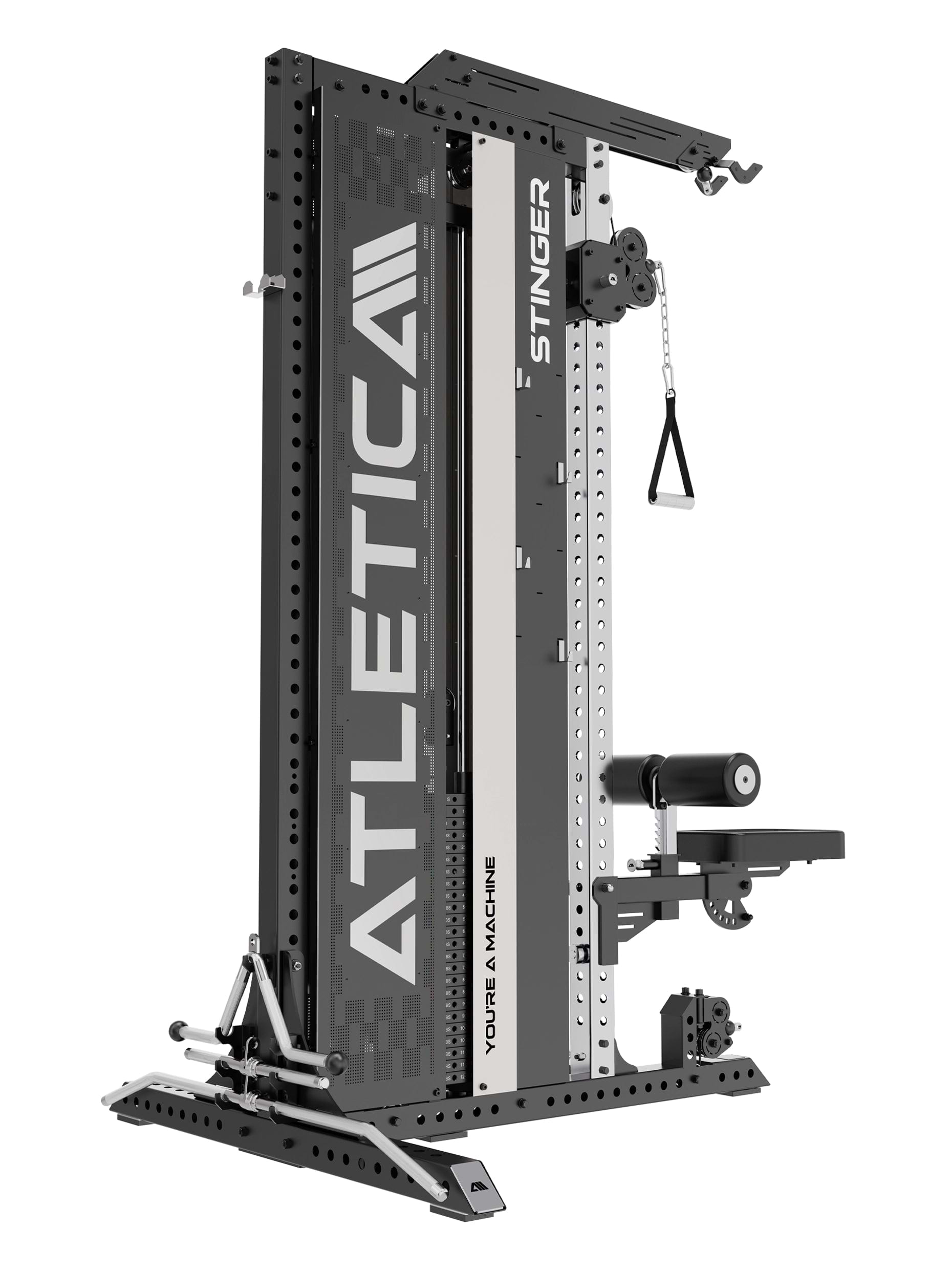 Functional Trainer Stinger: Latzug und Ruderstation
