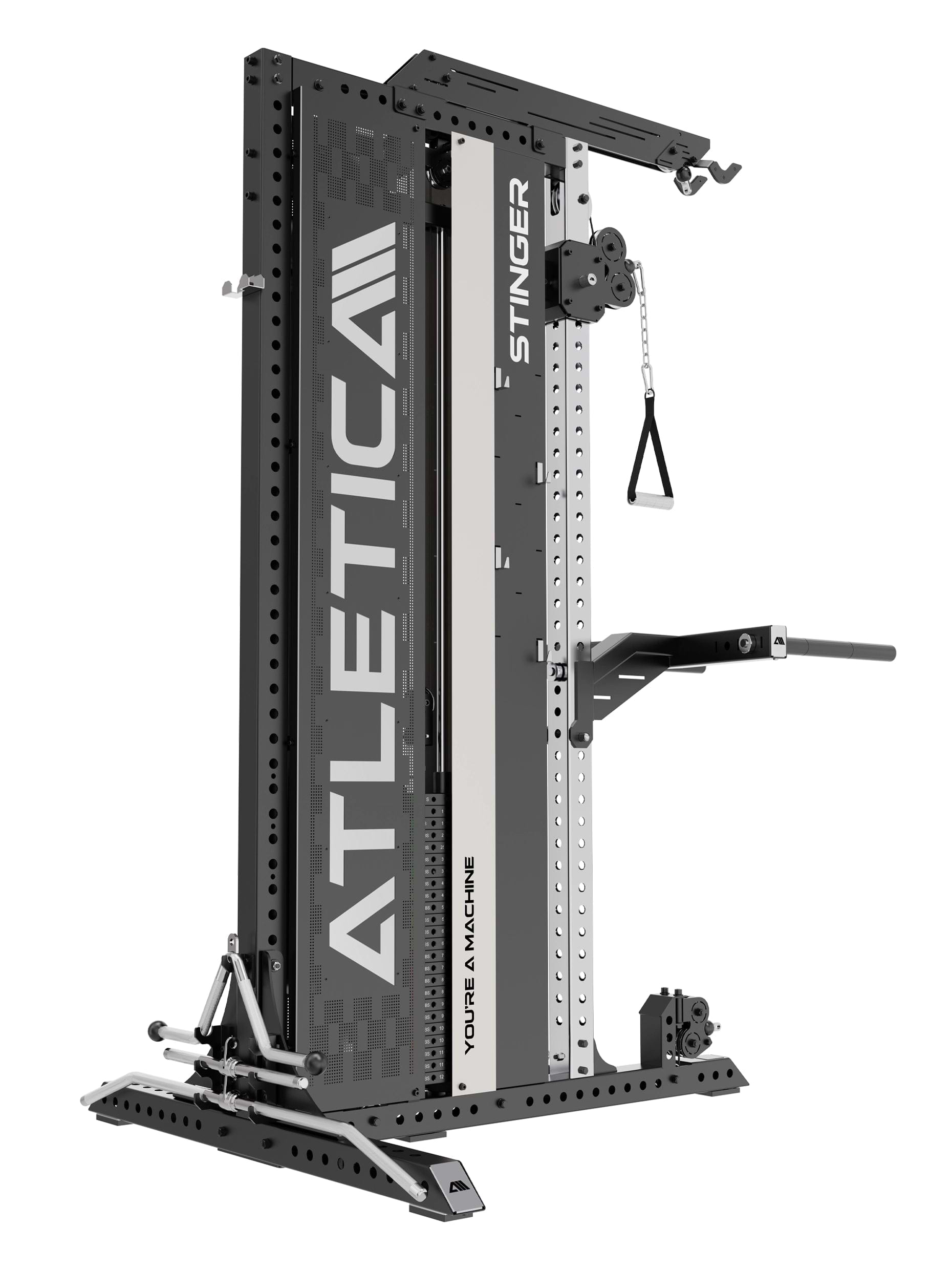Stinger Functional Trainer mit Latzug und Dip Station