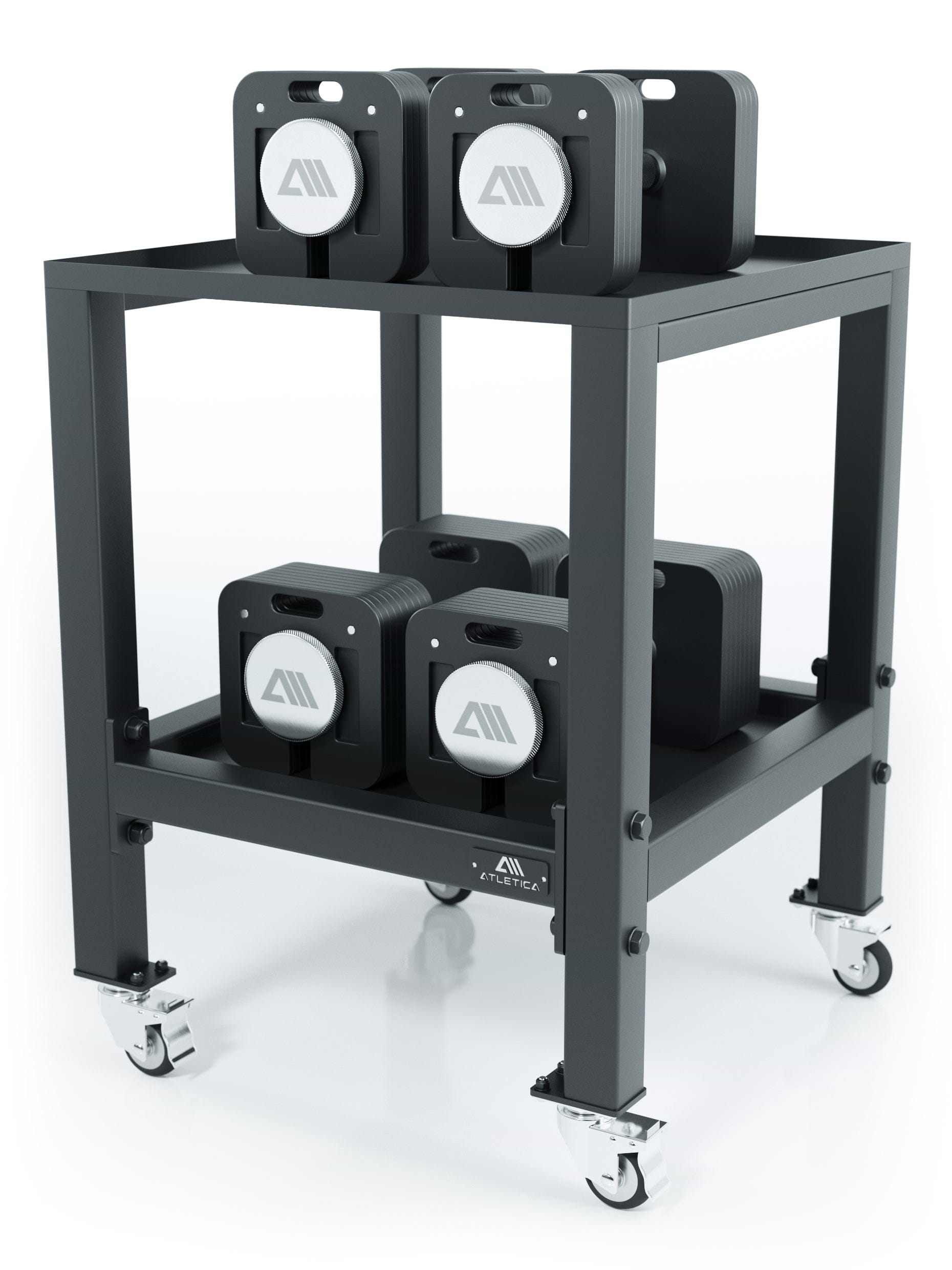 Ablage für Gewichte: Quad verstellbare Hanteln