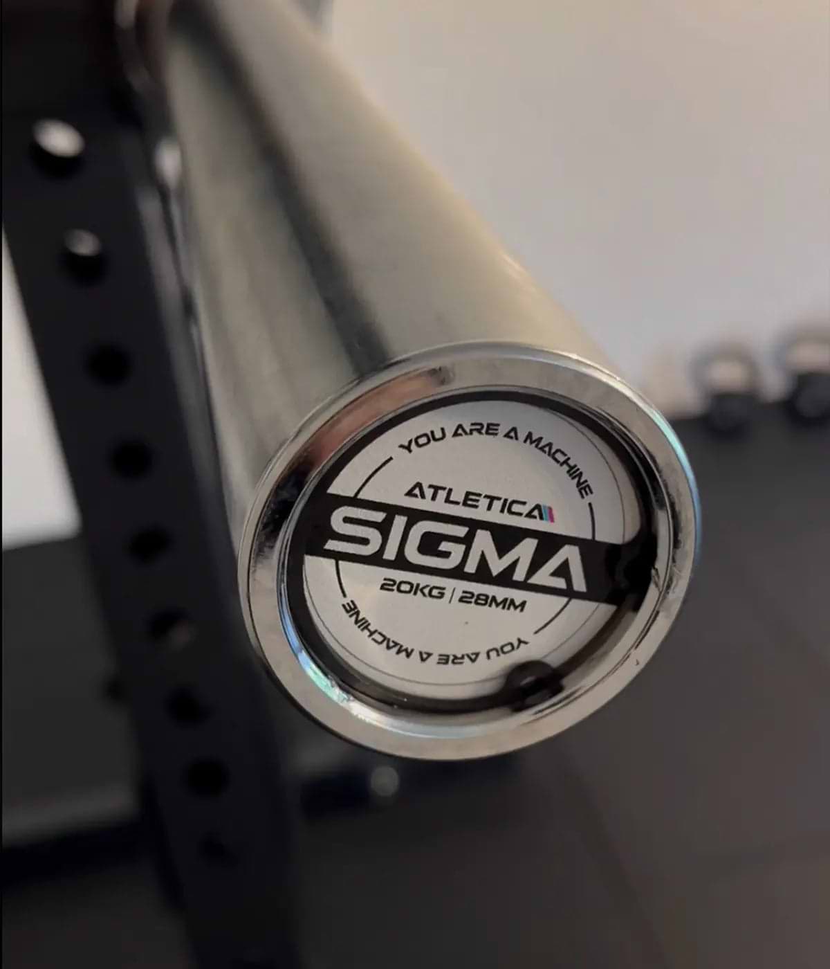 Diane Caldwells Gym: Sigma Langhantel