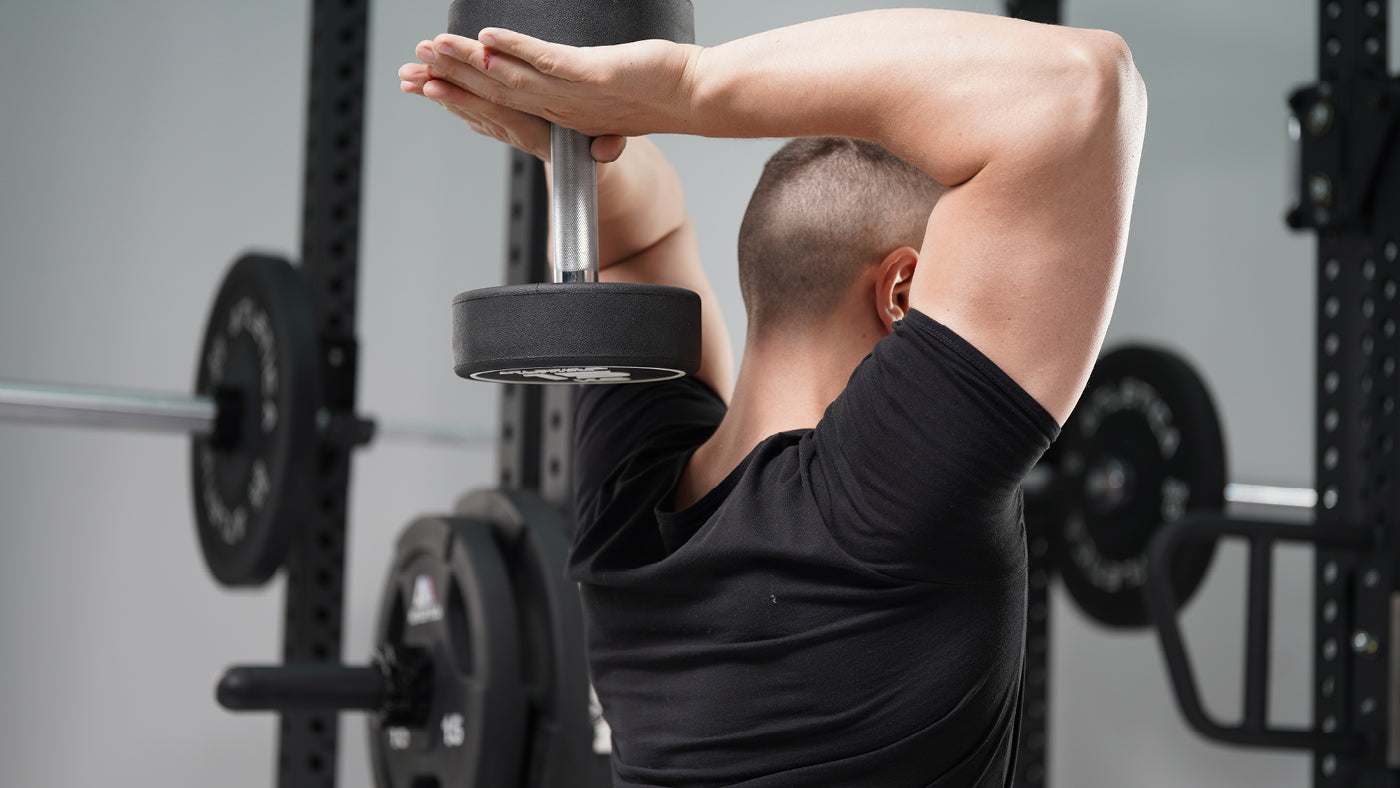 Rundhanteln Schultertraining