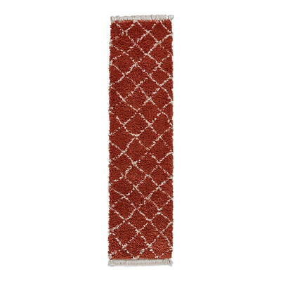 Willow Shaggy Tasselled Diamond Rug