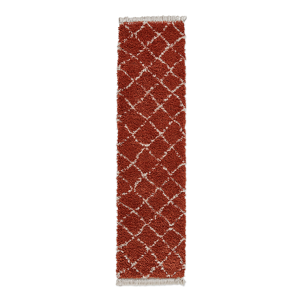 Willow Shaggy Tasselled Diamond Rug