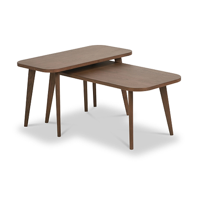 Elias Dark Ash 2 Coffee Tables