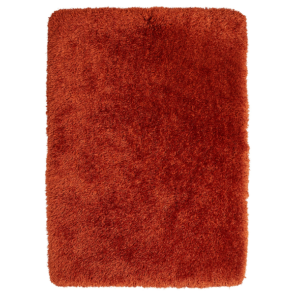Newton Deluxe Shaggy Rug