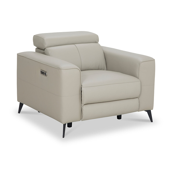 Radford Leather Dual Power Recliner Armchair