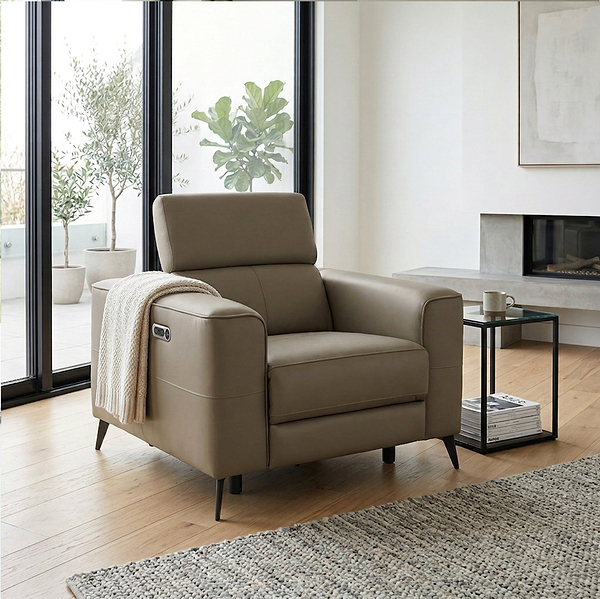 Radford Leather Dual Power Recliner Armchair