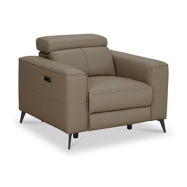 Radford Leather Dual Power Recliner Armchair