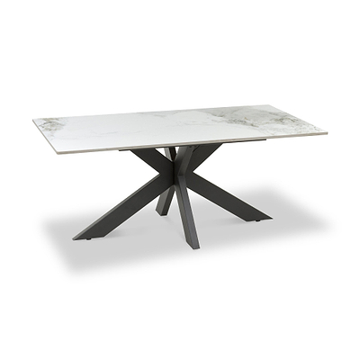 Farnell Ceramic Coffee Table