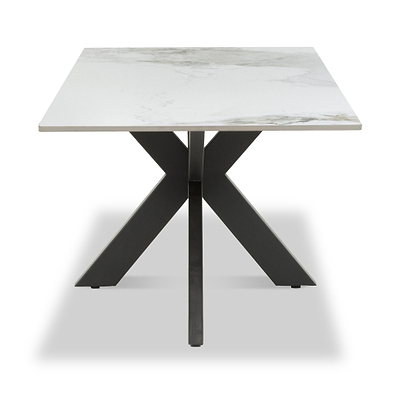 Farnell Ceramic Coffee Table