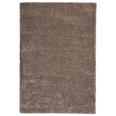 Roswell Stain Resistant Shaggy Rug