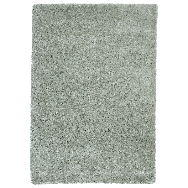 Roswell Stain Resistant Shaggy Rug