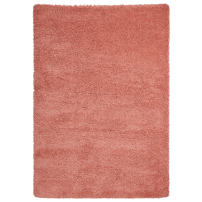 Roswell Stain Resistant Shaggy Rug