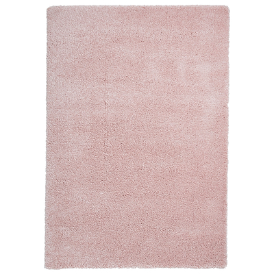Roswell Stain Resistant Shaggy Rug