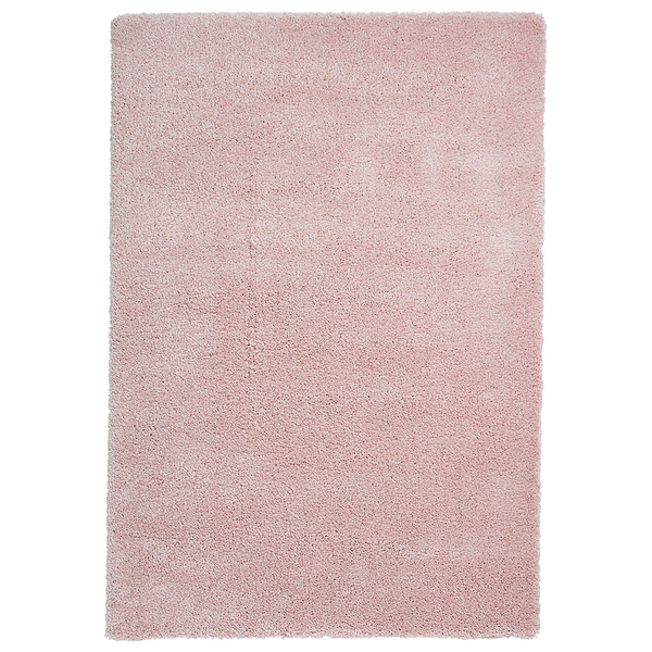 Roswell Stain Resistant Shaggy Rug